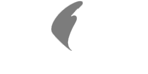 MSIG